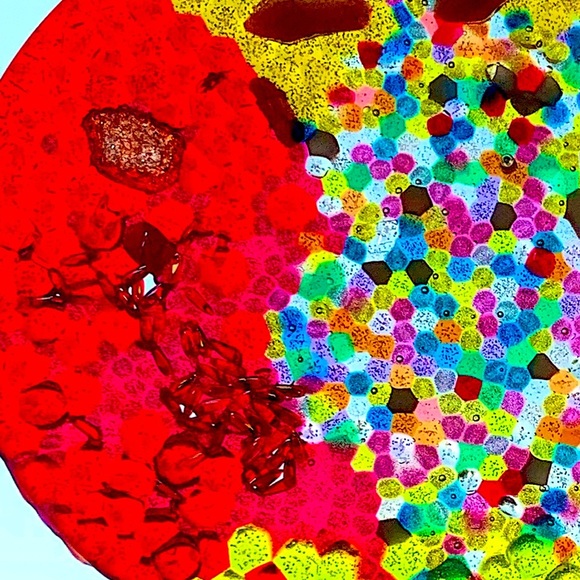 BEAUTIFUL BRIGHT SUN CATCHER - Picture 4 of 7